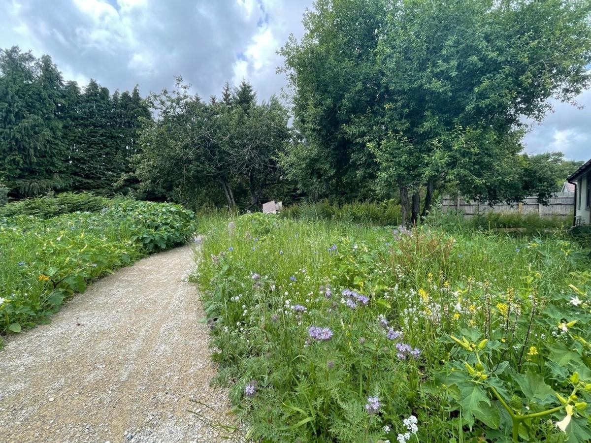 The Bearded Goat Den - A Rural Retreat At This Modern Holiday Cottage Saint Leonards Экстерьер фото