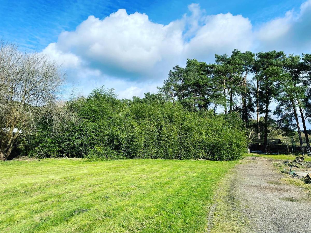 The Bearded Goat Den - A Rural Retreat At This Modern Holiday Cottage Saint Leonards Экстерьер фото