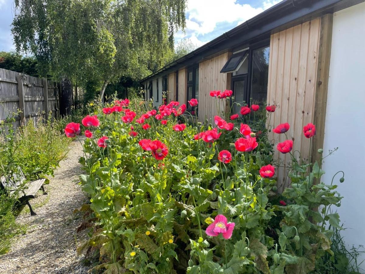 The Bearded Goat Den - A Rural Retreat At This Modern Holiday Cottage Saint Leonards Экстерьер фото